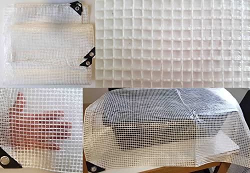 Clear & Reinforced Tarpaulin/Ground Sheet/Fly Sheet,builders tarp,garden dry cover,winter plant cover up (2m x 3m,)