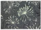 Schöner Wohnen Kollektion Fußmatte innen - Schmutzfangmatte 67x100cm Pusteblume grau-Mint - rutschfeste Sauberlaufmatte robust - Fussmatte Haustür - Türmatte waschbar bei 30°C