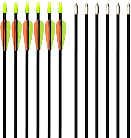 GPP 28 Fiberglass Archery Target Arrows - Practice Arrow or Youth Arrow for Recurve Bow- 12 Pack