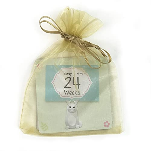 Kenco NICU Milestone Cards - 48 Total Milestones, Gender Neutral with Adorable Critters and Gift Ready Packaging - Preemie milestone cards (Gender Neutral 10 Sets)
