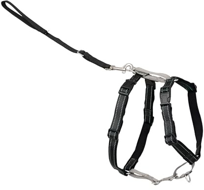 PetSafe 3 in 1 Dog Harness - No Pull Solution for Dogs - Reflective Dog Harness - Front D-Ring Clip Helps Stop Pulling - Comfortable Padded Straps - Top Handle Enhances Control - Black - Extra Small