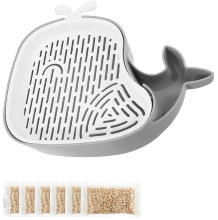 GXGM Set Di Semi Di Erba Gatta,Sono Inclusi 5 Pacchetti Di Chicchi Di Grano,Con Vassoio Di Germinazione Dell'Erba Gatta,Set Di Coltivazione Dei Germogli（Grigio）