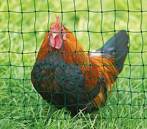 AKO Geflügelnetz, PoultryNet grün, ohne Strom, 112cm, Einzelspitze - 25m - Hühner, Gänse, Puten, Geflügel - vielseitig einsetzbar: Camping, Gartenschutz