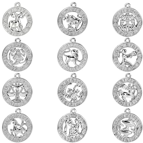 DanLingJewelry Lot de 24 breloques en argent antique avec signe du zodiaque des douze constellations - Pour la fabrication de bijoux