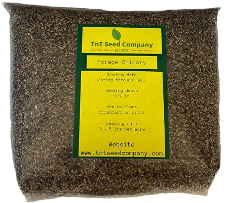 TnT Seed Company Forage Chicory, Food Plot Seed, Seeds 1 Acre, Drought Tolerant, Shade Tolerant, Perennial, High in Protein and Nutrients, 3 lbs