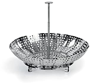 Barazzoni Cestello a vapore manico telescopico, Acciaio inossidabile, 23 cm
