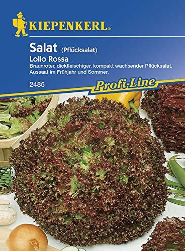 Kiepenkerl 2485 Pflücksalat Lollo Rossa (Pflücksalatsamen)