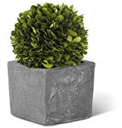 K&K Interiors 15004A-1 Boule de buis en Pot carré foncé Vert et Gris 17,8 cm