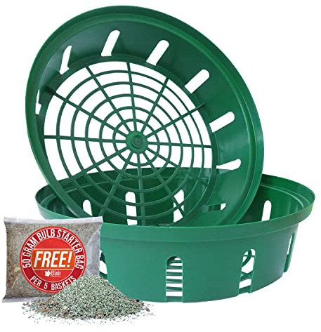 Elixir Gardens Green Plastic 26cm Bulb Planting Baskets | Quantities of 1-20 | Daffodils, Tulips, Crocus, Iris, Hyacinth & Snowdrop Easy Planters for Hanging Basket/Flowerbed | x 10