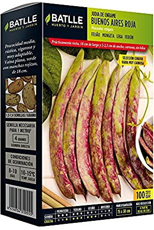 Semences horticoles de Batlle - Haricot nain Buenos Aires Rouge Condor (100g)
