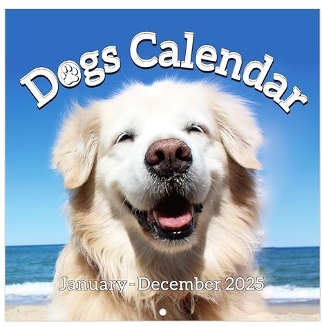 2027 Wall Calendar, 12 x 24 (Open), 2027 Calendar, 12-Month Calendar 2027
