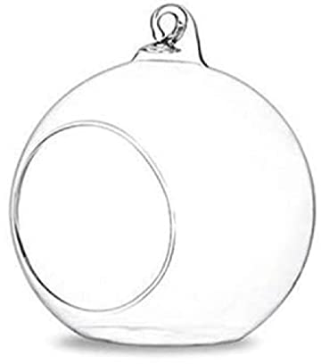 Photophore en verre à suspendre pour terrarium - Pour la maison - Vase succulent - Petit verre - Terrarium - Reptile