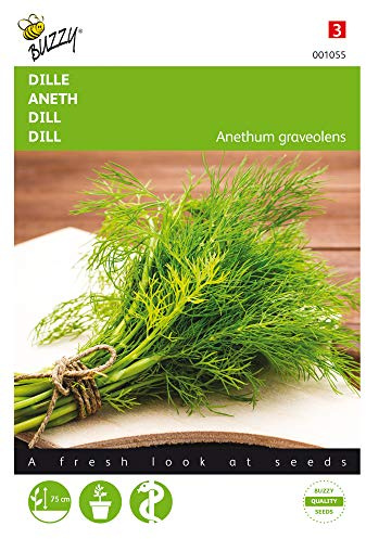 Buzzy Seeds 001055 Aneth (graines d'aneth)
