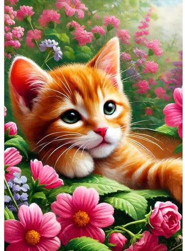 DPHERO Lovely Cat Diamond Painting Kits for Beginners Adults,5D DIY Red Flowers Diamond Art Kits,Round Full Drill Orange Cat Gem Art Crafts,DIY Kitten Painting by Numbers for Home Wall Decor 12x16inch