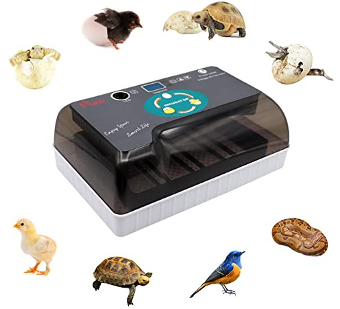12 Incubatrice per Uova Incubatrice per Uova di Tartaruga Allevatrice per rettili Allevatrice Termostatica per Tartarughe con Girauova Automatico Coperchio Visibile Display LED Digitale per Incubaz