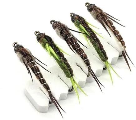 NEU AMZfishing® 5 Stück Steinfliegen-Nymphen | Fliegen zum Forellenangeln | Fliegenangeln Forelle | Fliege Forelle | Fliegenfischen Äsche | Steinfliegen Nymphen (a: 5 Stück in Box)