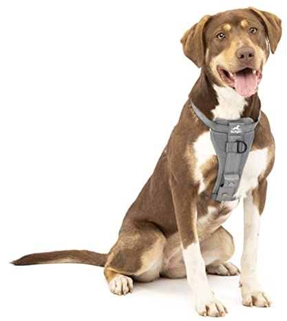 Kurgo Tru-Fit Harnais de sécurité pour Voiture pour Chiens, avec Plastron rembourré et Anneau en D, avec Ceinture de sécurité pour Voiture, Taille M, Anthracite