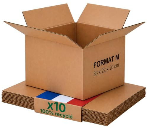 Caisse carton emballage colis M - Lot de 10-31 x 22 x 20 cm - Renforcé - livres, vêtements, accessoires - Life Pack