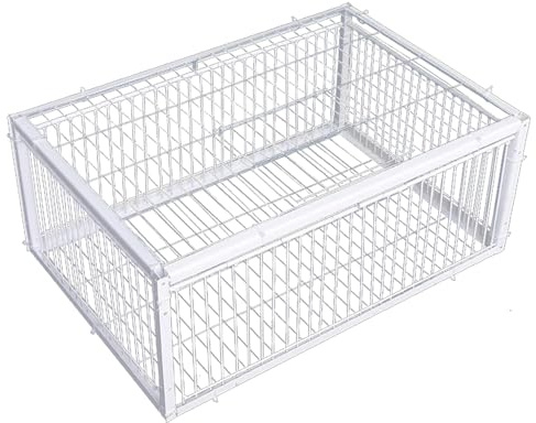 Trampa para Palomas, Trampa para pájaros con entradas de Acceso unidireccional y tragaluz, Jaula de Metal para Palomas de 16x12x10 Pulgadas para Granjas, graneros, Jardines, cría de