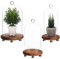 Belle Vous 3 Pack of Glass Dome Cloche Bell Jars with Brown Wooden Bases - Small, Medium & Large Sizes - Clear Decorative Tabletop Display Cases with Stands for Fairy Lights, Centrepieces and Antiques