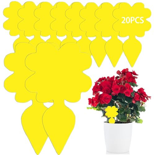 MEGAROOM Anti Moucherons Interieur - 20 Pcs Piège Jaune Double Face Imperméable pour Cuisine et Plantes - Protection contre Moucherons de Terreau et Fuitflies​