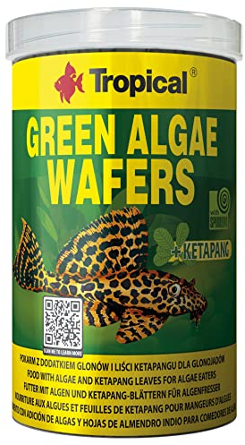 Tropical Green Algae Wafers Welschips, 1er Pack (1 x 1 l)
