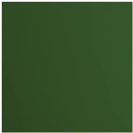 Vaessen Creative Florence Cardstock Papier, Grün, 216 Gramm/m², Quadratisch, 30,5 x 30,5 cm, 20 Stück, Glatt, für Scrapbooking, Kartenherstellung, Stanzen und andere Papierbasteleien