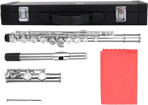 LABLADUO Flöjt, 16-håls flöjtsats, C-nyckelflöjt, nickelpläterade flöjter för nybörjare, bandprestandatest, vindinstrument, mellanflöjt