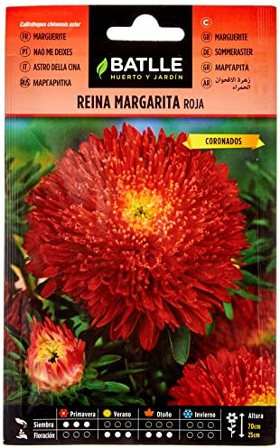 Semillas Batlle Reina Marg. Margaret Rojo