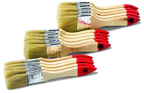 ASSORTIMENT 15 QUEUES de MORUE jetables