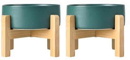 SPUNKYJUNKY Gamelle pour Chien en céramique Set de gamelles surélevées avec Support en Bambou pour Chats et Chiens (850ml, Vert)
