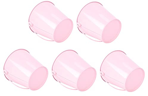 HEMOTON 5 pièces Mini Seaux pour Plantes Lot de Décorations pour Mariage et Maison Pots Robustes Roses pour Fleurs et