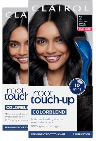 Clairol Nice 'n Easy Root Touch-Up 3 Kit (Pack of 2), Matches Black Shades of Hair Coloring, Includes Precision Brush Applicator Tool