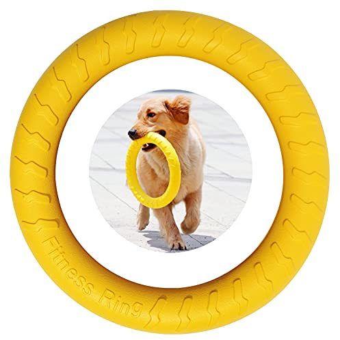 MMSGA Fitness-Ring für Hunde, Outdoor-Spiel Agility Trainingsgerät, Interaktiver Trainingsring für Kleine, Mittelgroße und Große Hunde (Gelb, 30CM)