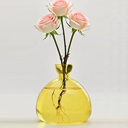 QSLKI Vase À Fleurs D'avocat en Verre, Kit De Croissance Hydroponique, Pot De Démarrage De Graines D'avocat, Culture D'avocat, Cadeau pour Les Amateurs De Jardinage, Décoration De Table (Jaune)