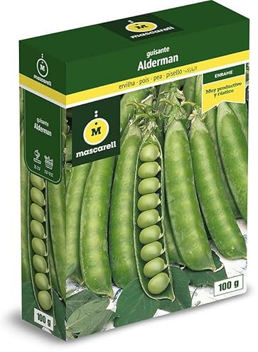 Mascarell Semillas, GUISANTE ALDERMAN, Semillas Leguminosas, Fácil de Cultivar en Casa, 100 G.