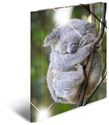 HERMA 19323 Collector's Folders A4 Animals Koala, Pack of 3, Children's Corner Folder Made of Plastic with High-Gloss Look, Inner Print & Elastic Band, Sturdy Plastic Folders Set for Boys and Girls