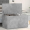 Myheimly Aufbewahrungstruhe Spielzeugtruhe Spielzeugkiste Couchtisch Beistelltisch Truhe Aufbewahrungsbox Betongrau 84x42x46 cm Holzwerkstoff