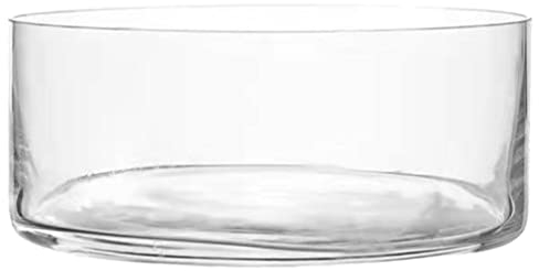 Artibetter Bol Terrarium Jardinière Succulente: Fleur Vase en Verre Air Plante Affichage Pièce Maîtresse Décorative Récipient Floral Bocal À Poissons pour Mariage À La Maison 15X15cm