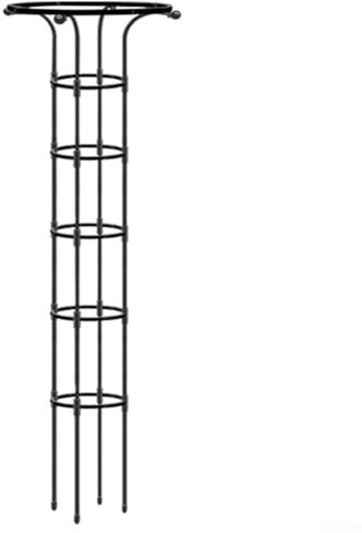 Treillis obélisque de jardin en métal pour plantes grimpantes pour intérieur et extérieur Optimisation verticale de l'espace (155 cm)