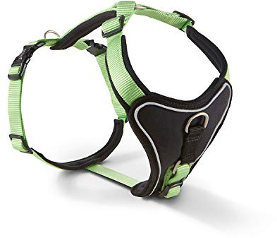 Wolters | Geschirr Professional Comfort in Kiwi/Schwarz | Brustumfang 27 - 32 cm