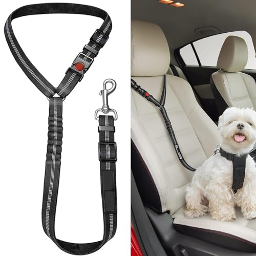 Hundegurt Verstellbarer Anschnallgurt Hund Hundeleine fürs Auto mit Elastischer Ruckdämpfung und Starke Karabiner Universal Rückbank für Kleine Hunde Mittelgroße Hunde Welpen Zubehör(Schwarz)