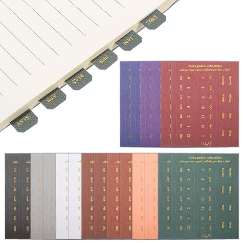 DOPENSPI 20 hojas de pestañas mensuales, pestañas autoadhesivas mensuales para planificador, pestañas adhesivas de índice de mes coloridas, calcomanías separadoras de meses para planificadores