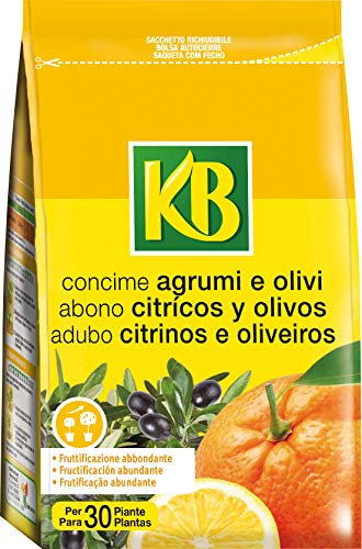 Concime Agrumi e Olivi 800 g KB