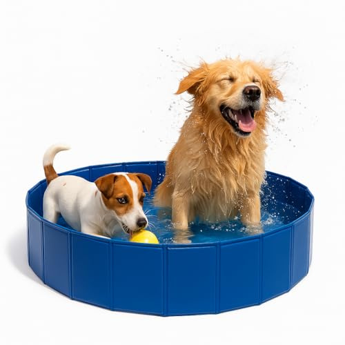 Piscina per Cani Grandi e Piccoli - 120x30 - Smontabile e Rigida - Bagno per Animali Domestici - Rinfrescarsi in Estate
