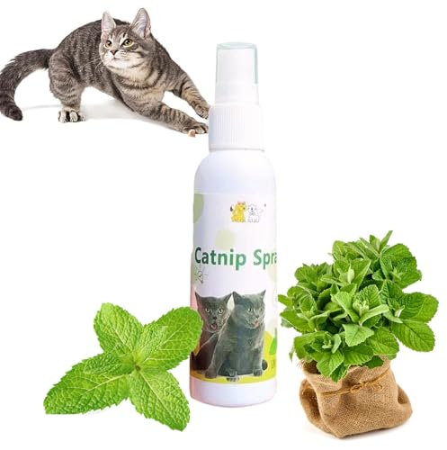 Katzenminze Spielspray für Katzen - Catnip Herbal Cat Joy, Kräuter-Katzenfreude-Spray, Katzentrainingsspray Mit Katzenkratzspray (Weiß*1 PC)
