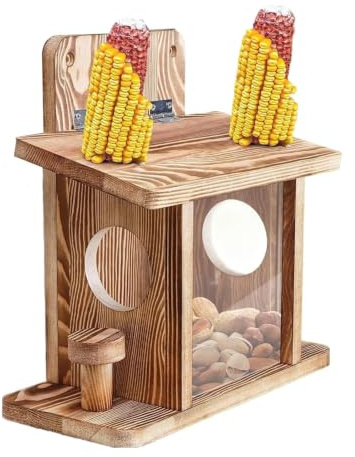 Mangeoire d'extérieur pour écureuils - Distributeur de nourriture pour écureuils | Mangeoire pour écureuil, table de pique-nique, maison d'extérieur, mangeoire pour écureuil, jardin, pelouse,