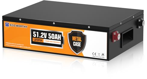 ECO-WORTHY Batería LiFePO4 48V 50Ah con Protección BMS 3000-15000 Cycles, Batería de Litio de Ciclo Profundo para RV, Sistema Solar, Barco, Hogar, Kit de Panel Solar, Camping