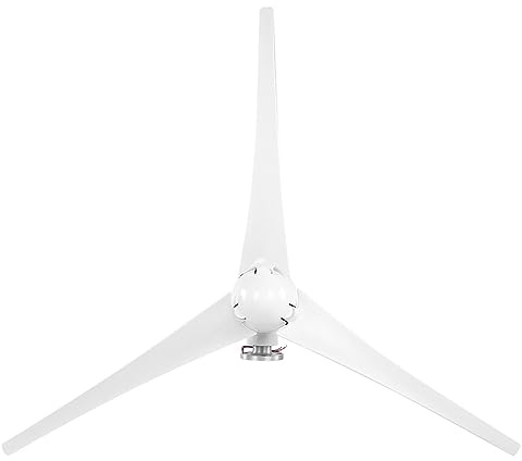 Acouto Kit d'éoliennes Générateur 3 Pales Petite Alimentation pour Chambre Mobile Bateaux Cabine 200 W Taux de Génération 12 V Cur Kit d'éoliennes éoliennes Générateur de Vent 200 W Petit Vent (48V)
