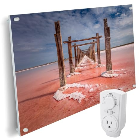 EconoHome Wall Mount Space Heater Panel - with Thermostat - 600 Watt Convection Heater - Ideal for 200 Sq Ft Room - 120V Electric Heater